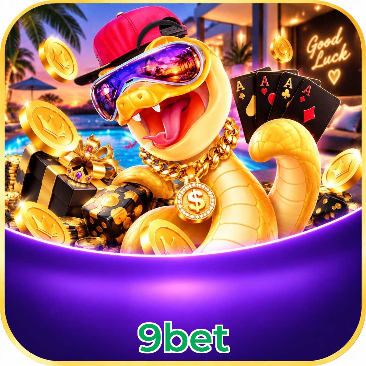 9bet App vs Web